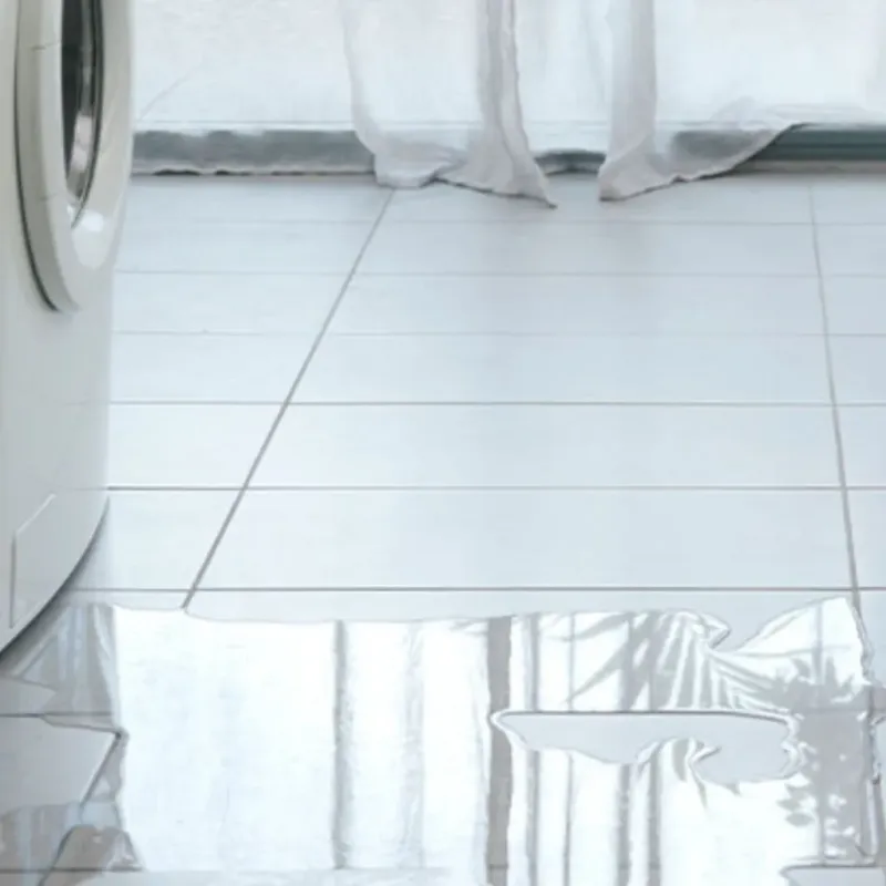 Appliance Leak Cleanup in Holmes Beach, FL